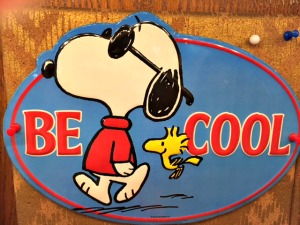 snoopy be cool 300