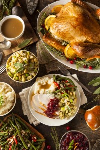 Homemade Thanksgiving Turkey on a Plate