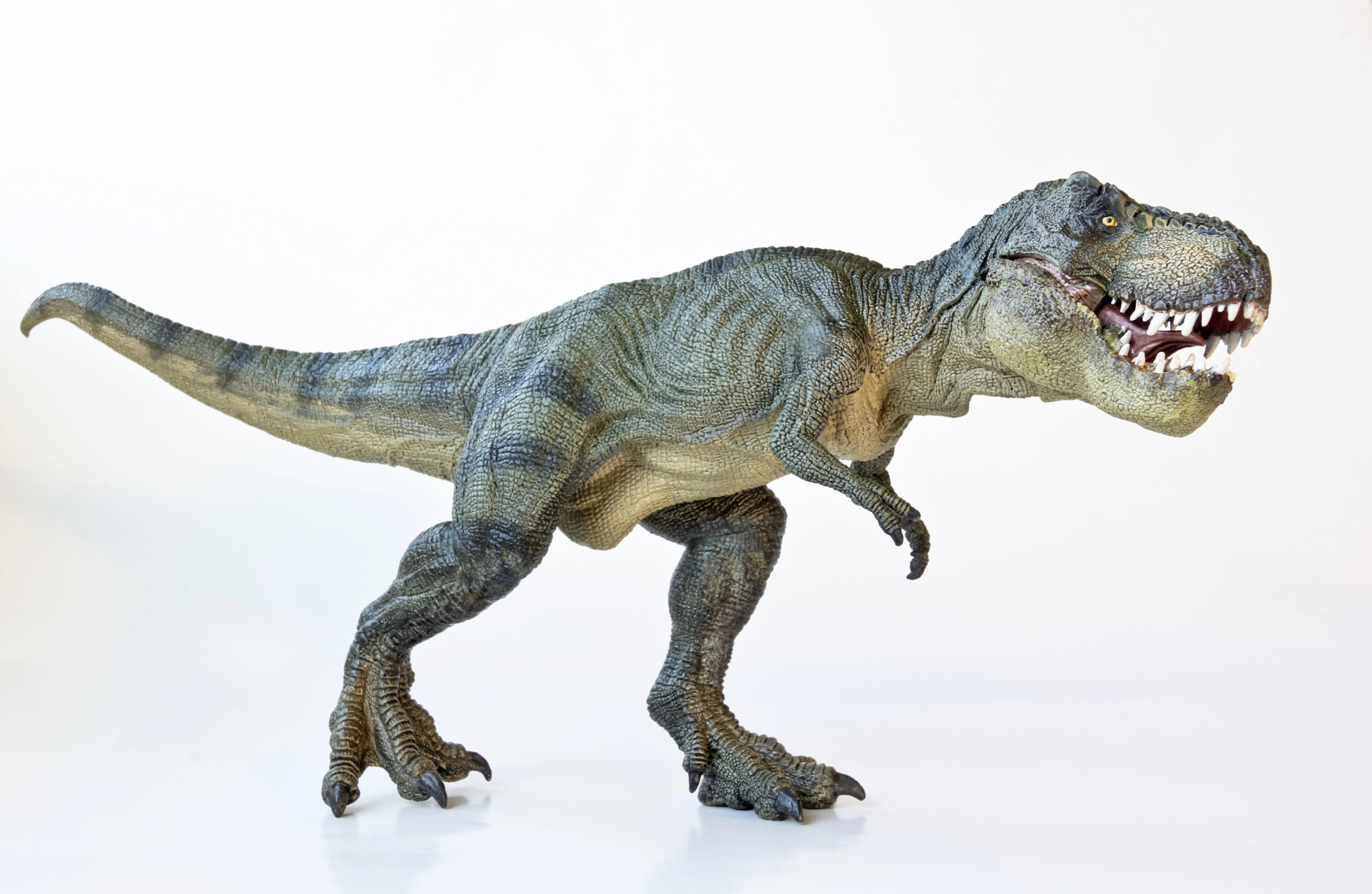 Dialing for dinosaurs
